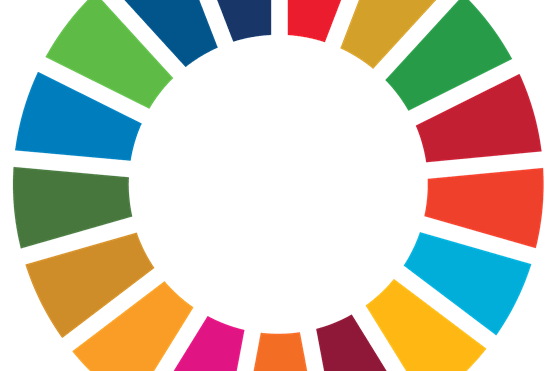 UN SDG wheel