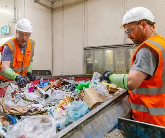 Operatives performing quality control on a Biffa picking line