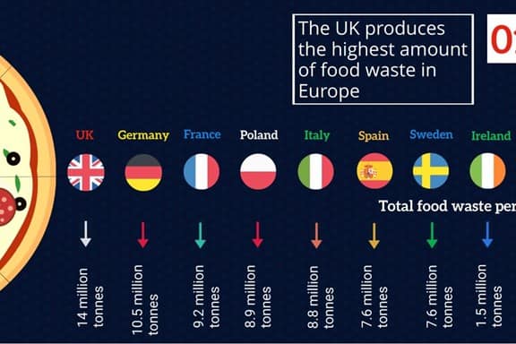 Food waste infographic