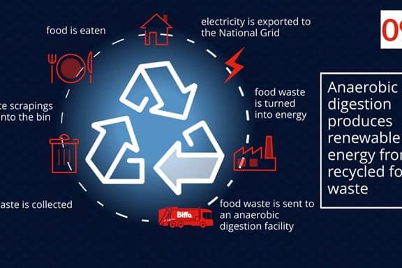 Food waste infographic