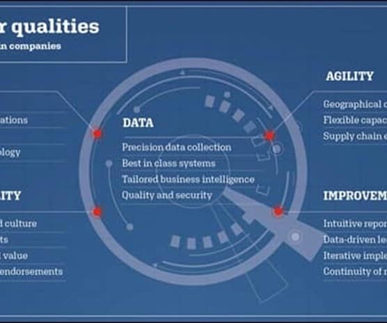 Supplier qualities infographic