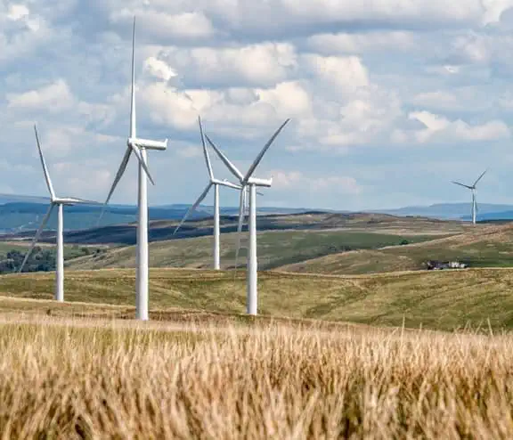 A wind farm