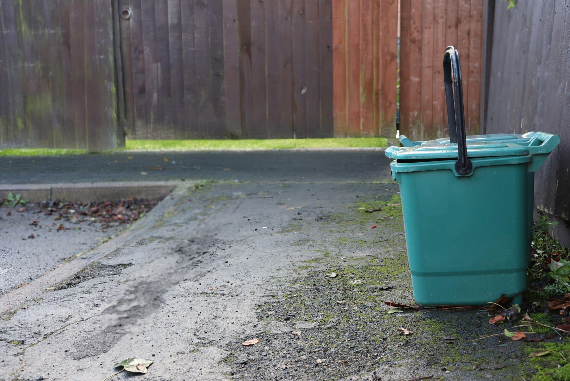 Food caddy on the side of pavement