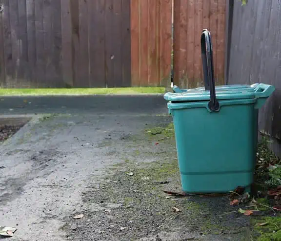 Food caddy on the side of pavement