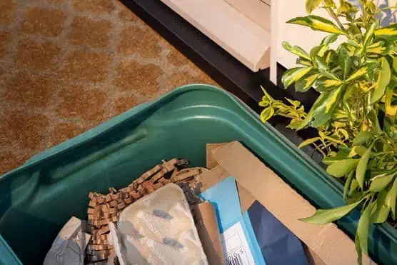 Cardboard waste in green bin