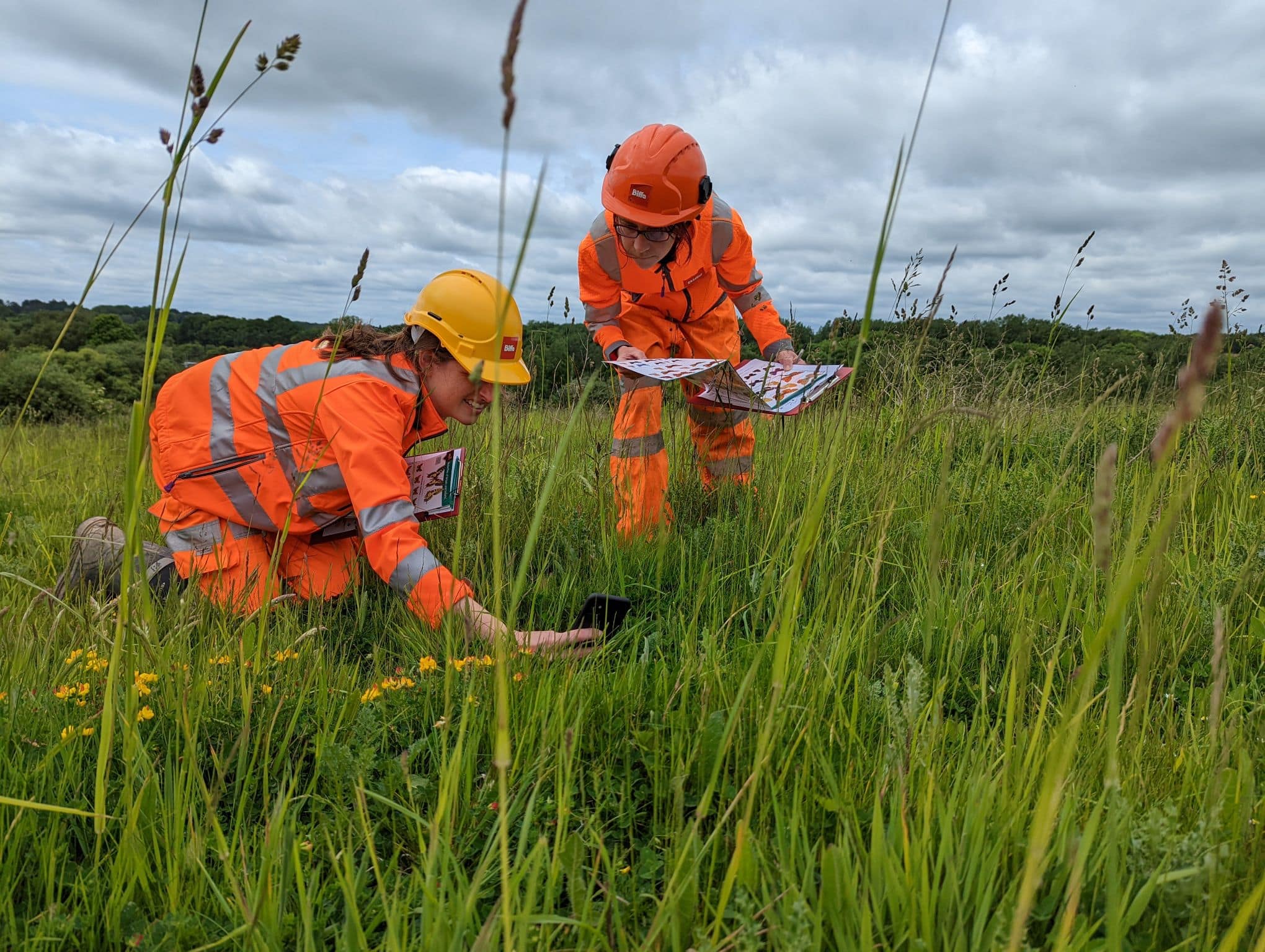 Two employees looking at biodiversity on unit