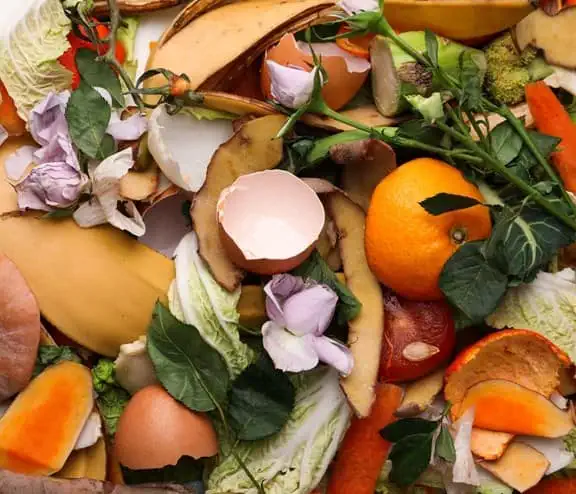 Food waste