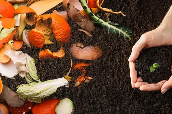 Food waste next to had picking up soil