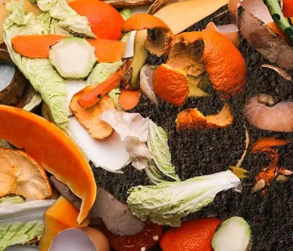 Food waste next to had picking up soil