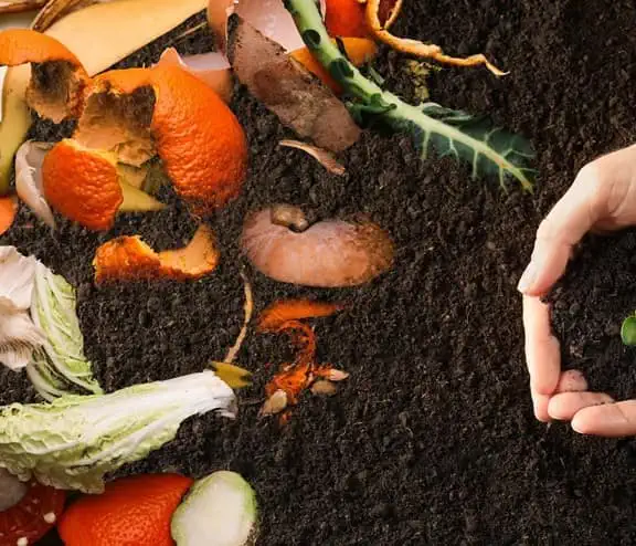 Food waste next to had picking up soil