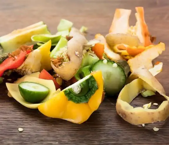 Vegetable food waste