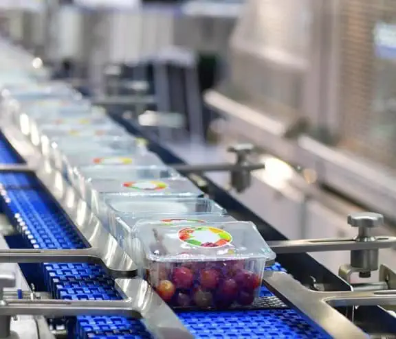 Grape boxes on production line