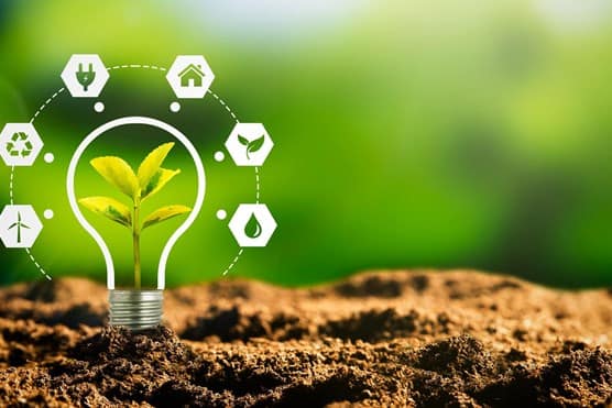 Lightbulb in soil with energy source icons