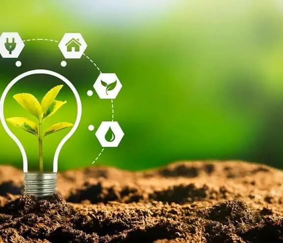 Lightbulb in soil with energy source icons