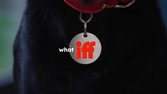Dog with collar with text what iff