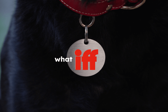 Dog with collar with text what iff